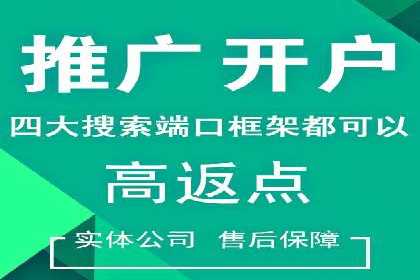 百度竞价推广案例：品牌崛起之路